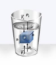 20120118084542-images.jpg