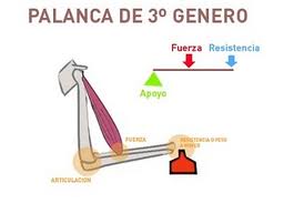20120223184326-images.jpg